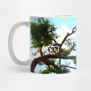 Curved sea pine branch with cones and the azure sky in the background Mug